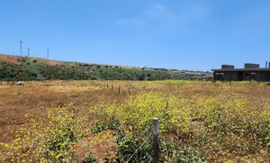 Concón, Parcela 1000 m2, ROL PROPIO, Venta sólo Contado