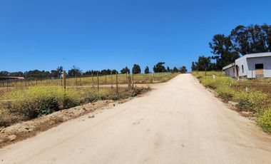 Concón, Parcela 1000 m2, ROL PROPIO, Venta sólo Contado