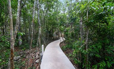 Un paraíso en Tulum: Desarrollo de casas de lujo con todas las comodidades en la salida a Coba