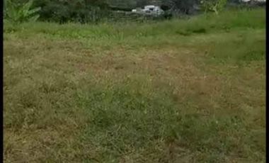 Lote en venta en el sector de Villa Verde