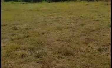 Lote en venta en el sector de Villa Verde