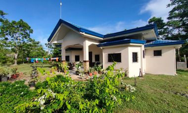 HOUSE WITH HUGE LOT FOR SALE IN SIQUIJOR