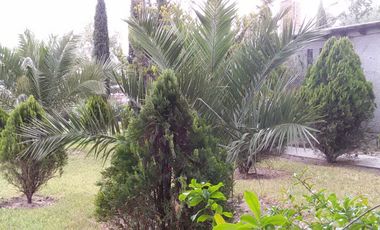 RENTO CASA EN EL VENADO,  CON GRAN TERRENO