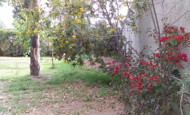 RENTO CASA EN EL VENADO,  CON GRAN TERRENO