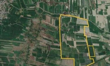*HUGE RAWLAND PROPERTY FOR SALE IN MONCADA, TARLAC