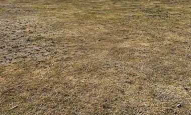 SE VENDE LOTE PREMIUM - PARQUE LUCERNA - EXCELENTE OPORTUNIDAD