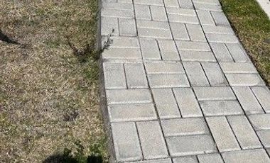 SE VENDE LOTE PREMIUM - PARQUE LUCERNA - EXCELENTE OPORTUNIDAD