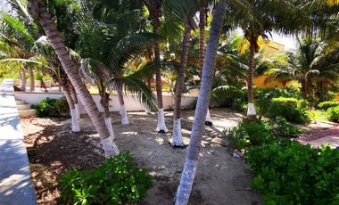 SOBRE LA PLAYA Casa y terreno en Puerto Morelos