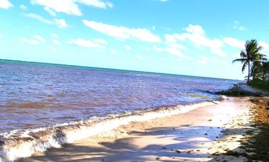 SOBRE LA PLAYA Casa y terreno en Puerto Morelos