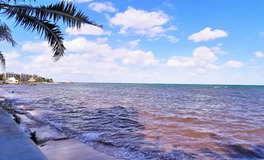 SOBRE LA PLAYA Casa y terreno en Puerto Morelos
