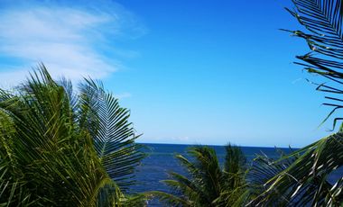 SOBRE LA PLAYA Casa y terreno en Puerto Morelos