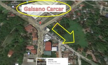 For Sale Commecial Lot near Gaisano Carcar