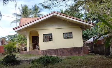1-storey 3bedroom house and lot for sale near church highway and beaches Guindulman Bohol