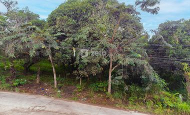 Corner lot for sale in Camaman-an