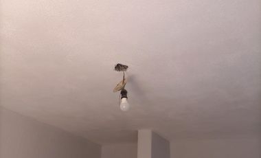 VENTA CASA 3 dormitorios en DEAN FUNES