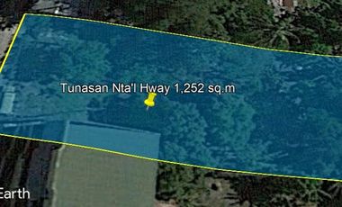 TUNASAN, MUNTINLUPA CITY NATIONAL HIGHWAY COMMERCIAL VACANT LOT @ 1,252 SQM