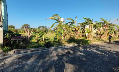 LOT FOR SALE IN METRO SOUTH EXECUTIVE VILLAGE, GOVERNOR’S DRIVE, GENERAL TRIAS CAVITE