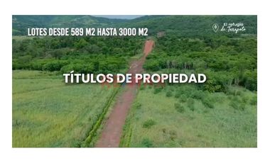 Venta De Terreno En Tarapoto