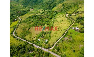 Venta De 5 Hectareas De Terreno Rural En Tarapoto.C.Melendres