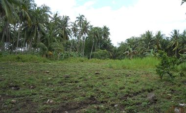 LOT FOR SALE IN BACONG ID 14867