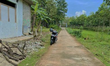 Rumah Strategis Buka Usaha Kedawung Sragen