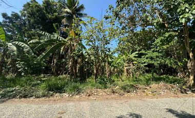 For Sale! Residential / Commercial Lot in Candelaria, Quezon