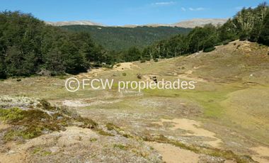 Predio de 295 hectáreas