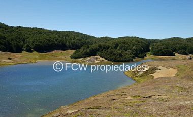 Predio de 295 hectáreas