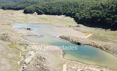 Predio de 295 hectáreas