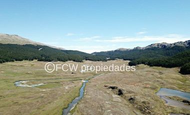 Predio de 295 hectáreas