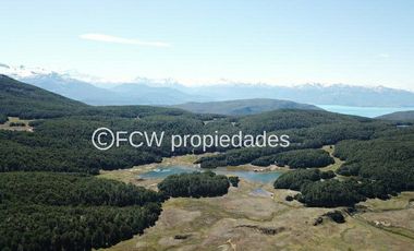 Predio de 295 hectáreas