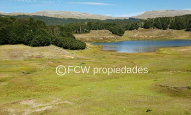 Predio de 295 hectáreas