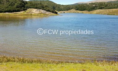 Predio de 295 hectáreas