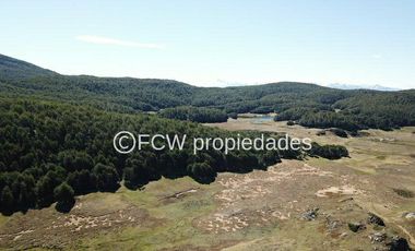 Predio de 295 hectáreas