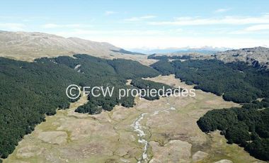 Predio de 295 hectáreas