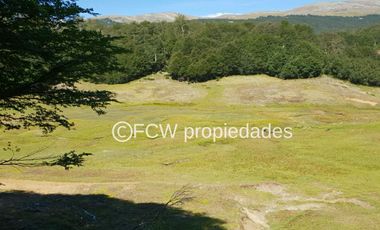 Predio de 295 hectáreas