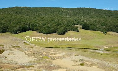 Predio de 295 hectáreas