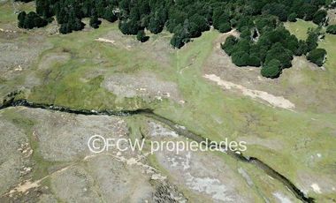 Predio de 295 hectáreas