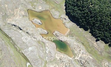 Predio de 295 hectáreas