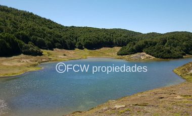 Predio de 295 hectáreas