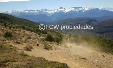 Predio de 295 hectáreas