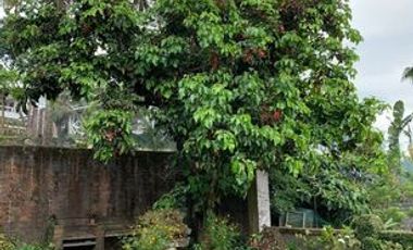 For Sale/for Lease: Overlooking Mansion in Tagaytay