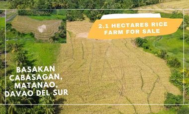 2.1 Hectares Rice Farm in Cabasagan Matanao Davao del Sur for Sale