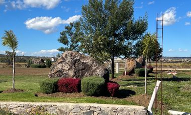 TERRENO en calle MANUEL DÍAZ, en 