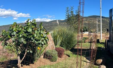 TERRENO en calle MANUEL DÍAZ, en 
