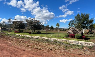 TERRENO en calle MANUEL DÍAZ, en 