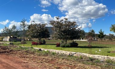 TERRENO en calle MANUEL DÍAZ, en 