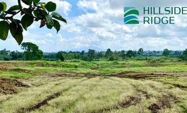 Ayala Land Lot for sale near Tagaytay, Nuvali and Calax at Hillside Ridge Silang Cavite Pre Selling with Flexible Term