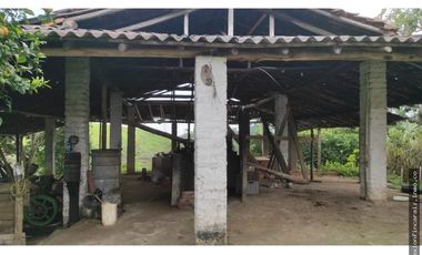 Venta Finca Ganadera Maceo Antioquia