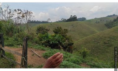 Venta Finca Ganadera Maceo Antioquia